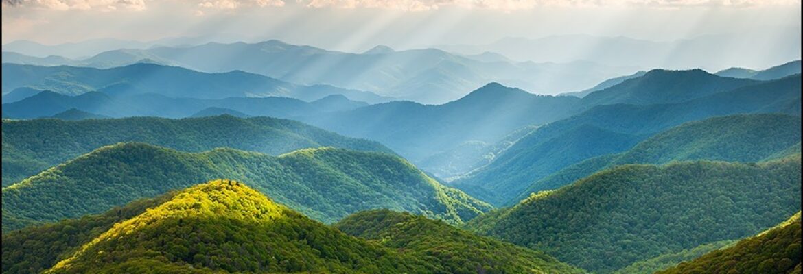 Dave Allen Photography