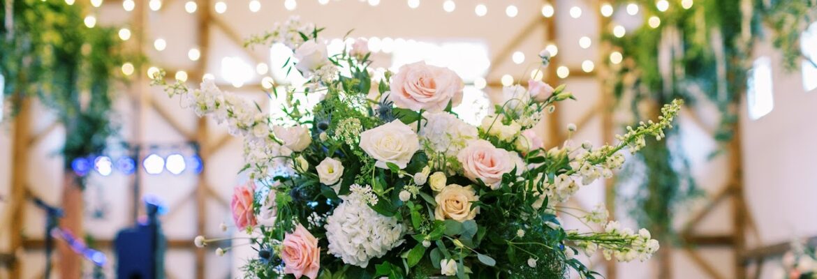 Ally and Bobby Photography