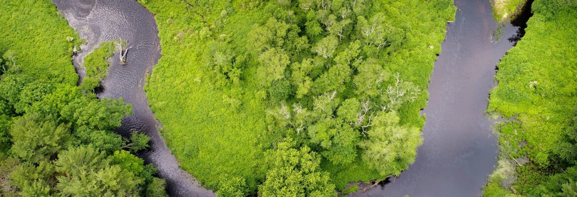 Steven G. Smith Pictures