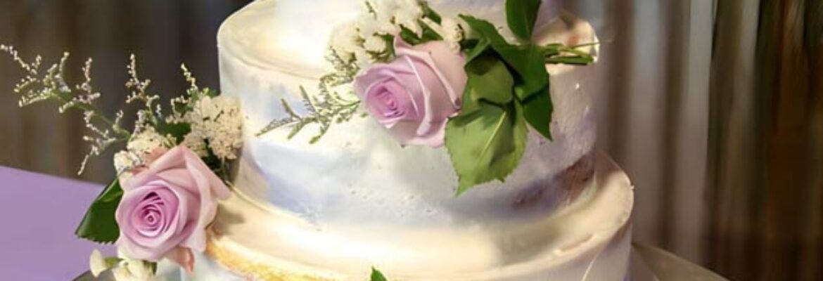 Morgans Family Photography