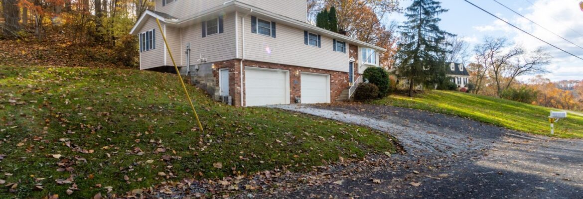 Sky Films Photography & Video