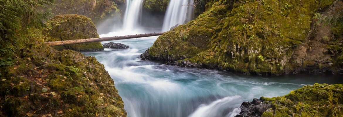 Lasting Light Photography