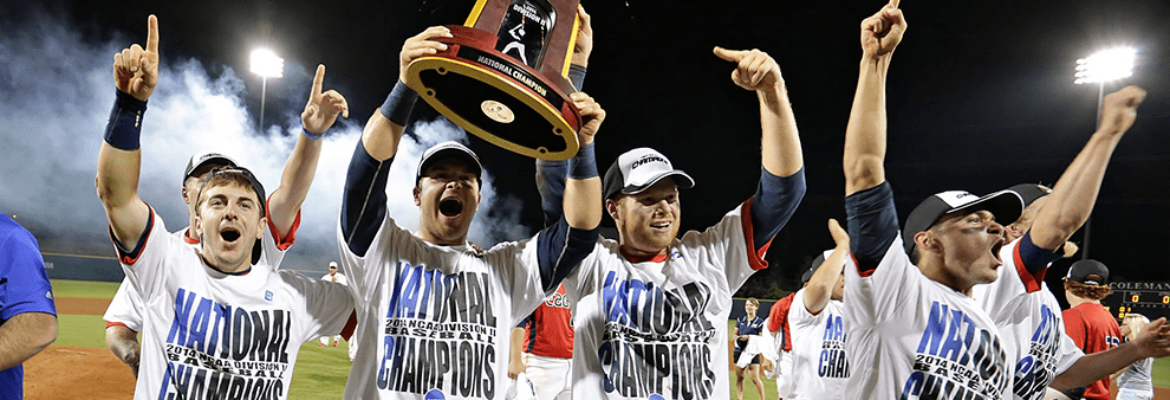 Alycat Photo & Video Services