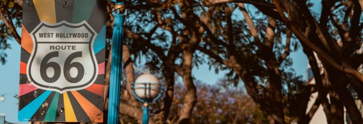 Bee and the Barb – A Cinematic Photography Company