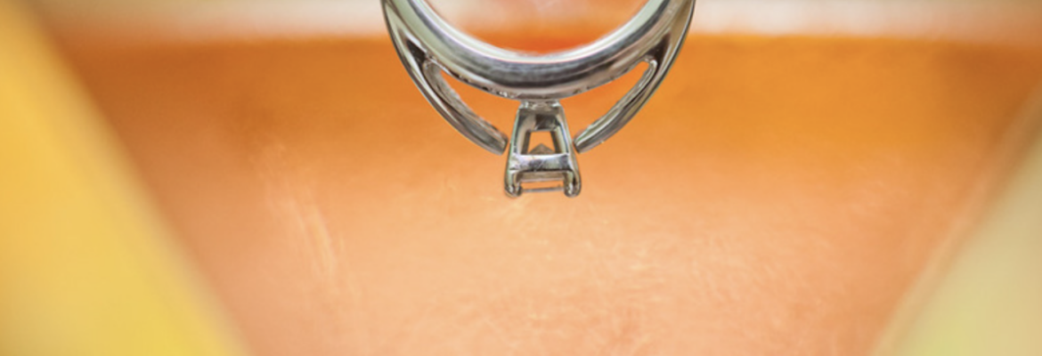 LeftCoast Weddings Photography + Video