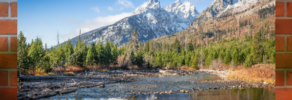 MP (Megan Peterson) Photography