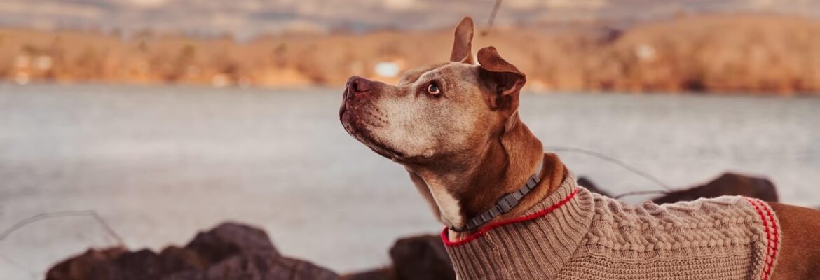 Alex & Ana Photography