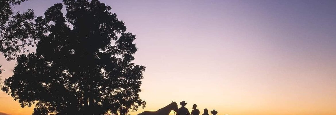 Vettleson Photography