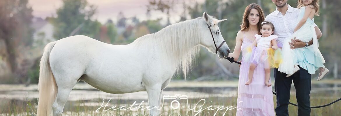 Heather Gappi Photography