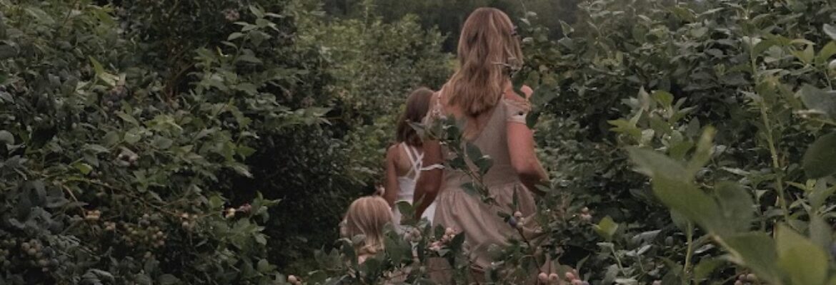 C. Elizabeth Collective Photography