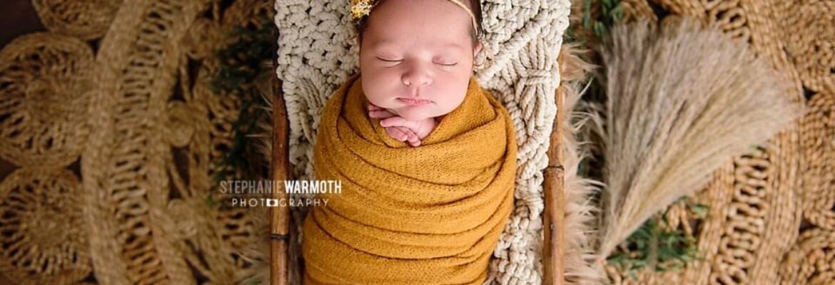 Stephanie Warmoth Photography