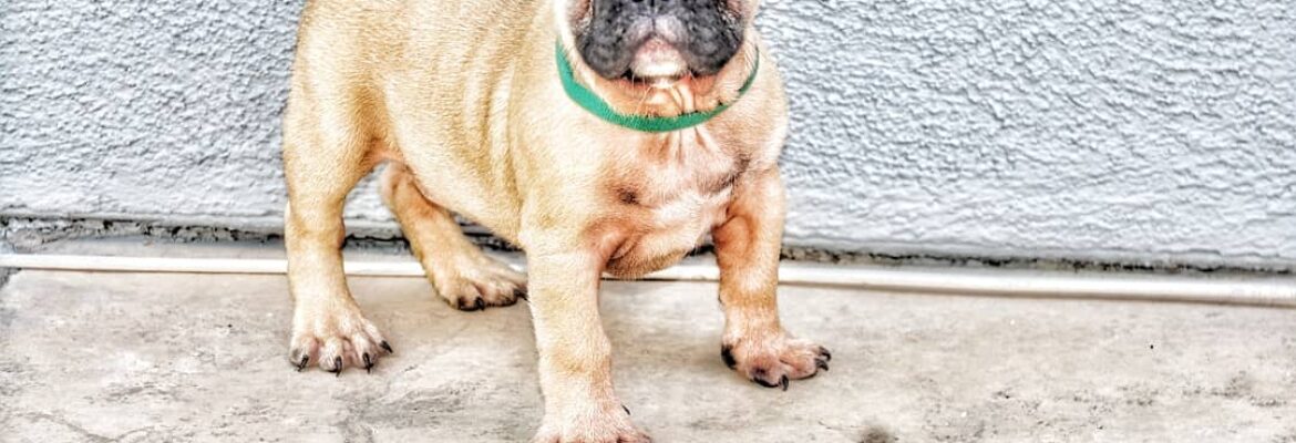 A&L Angle Photography