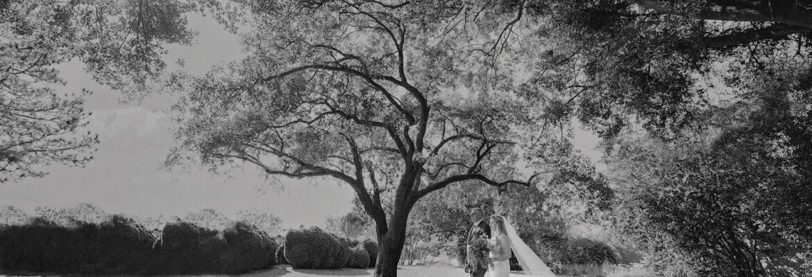 Nathan Bingle Photography