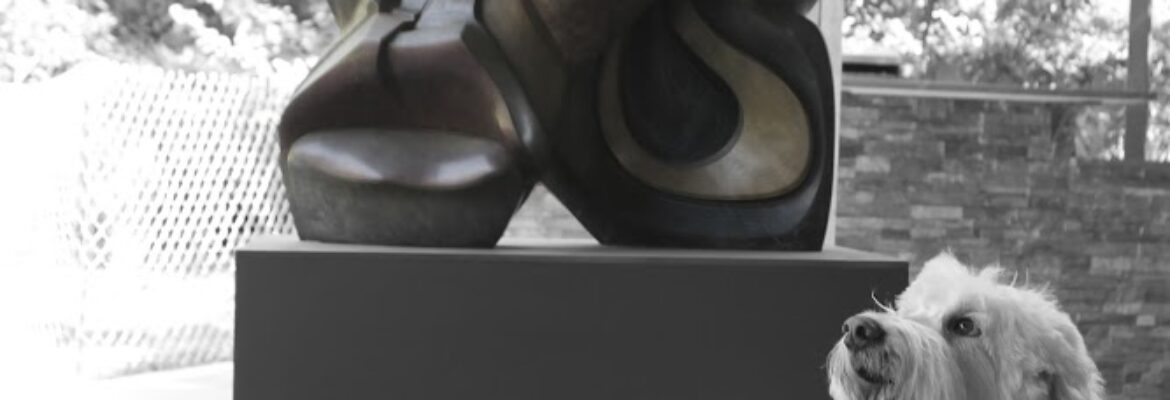 T-G Productions Imagen Photography