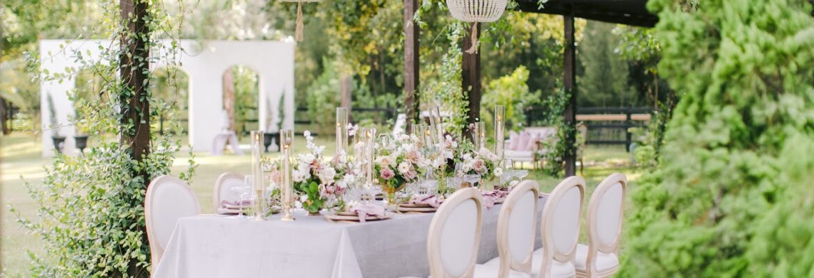 Set Free Photography