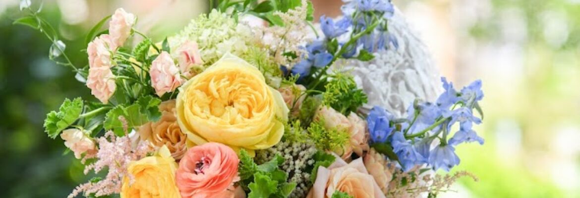 T.Spence Photography