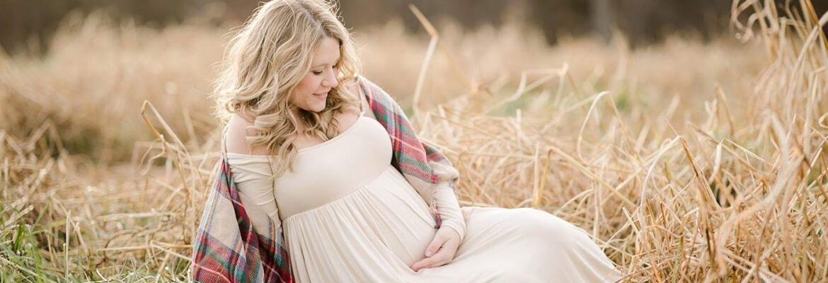 Liz Cook Photography