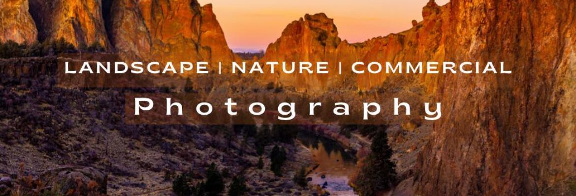 Michelle Adams Photography