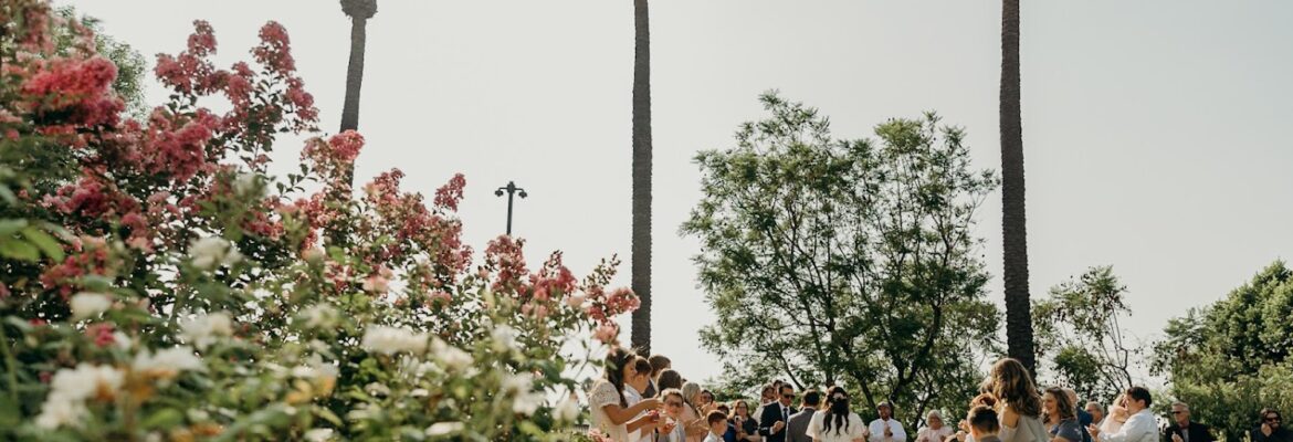 Alexis Scullin Photography