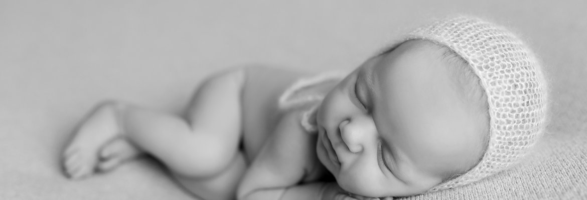 Nikki Criniti Photography