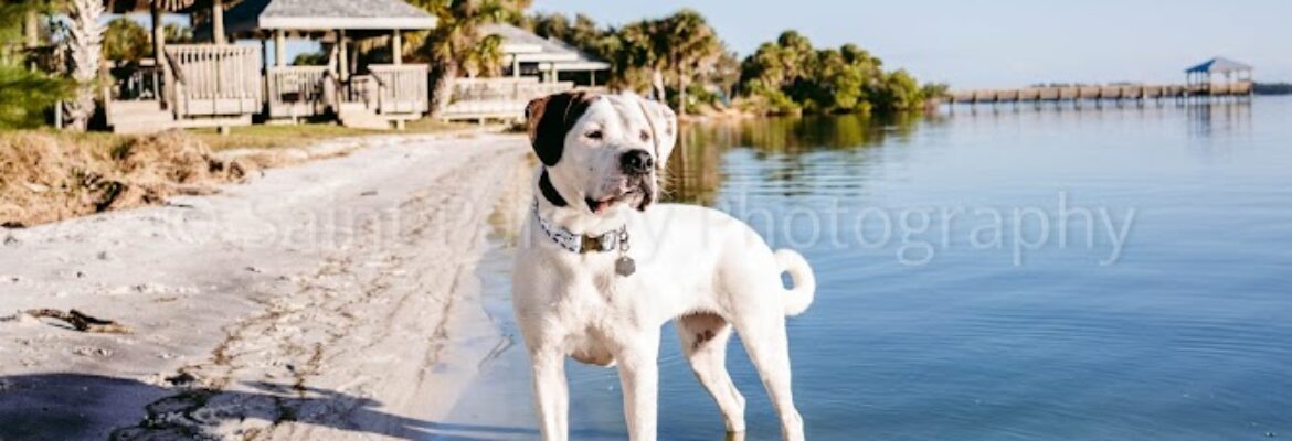 Saint Paisley Photography