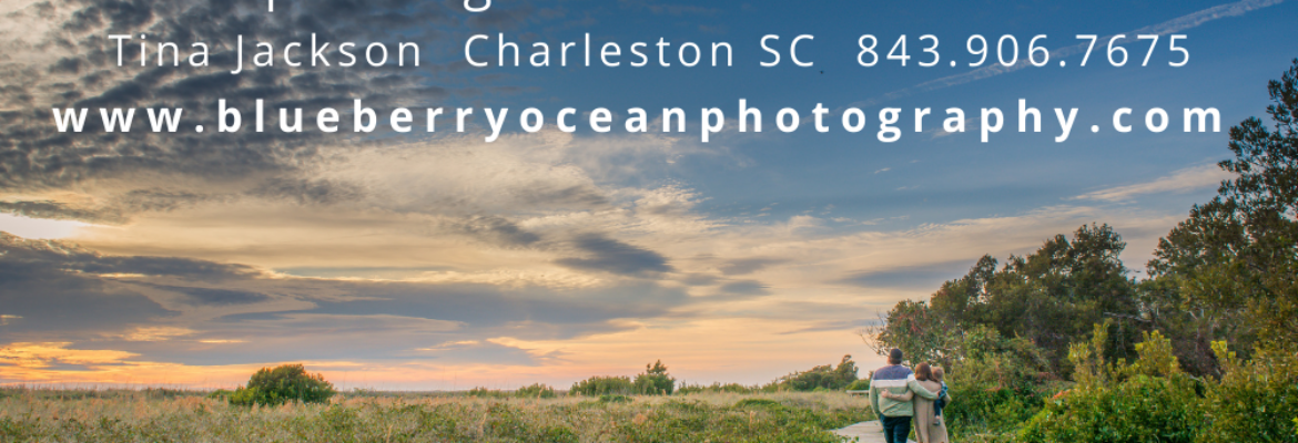 Blueberry Ocean Photography