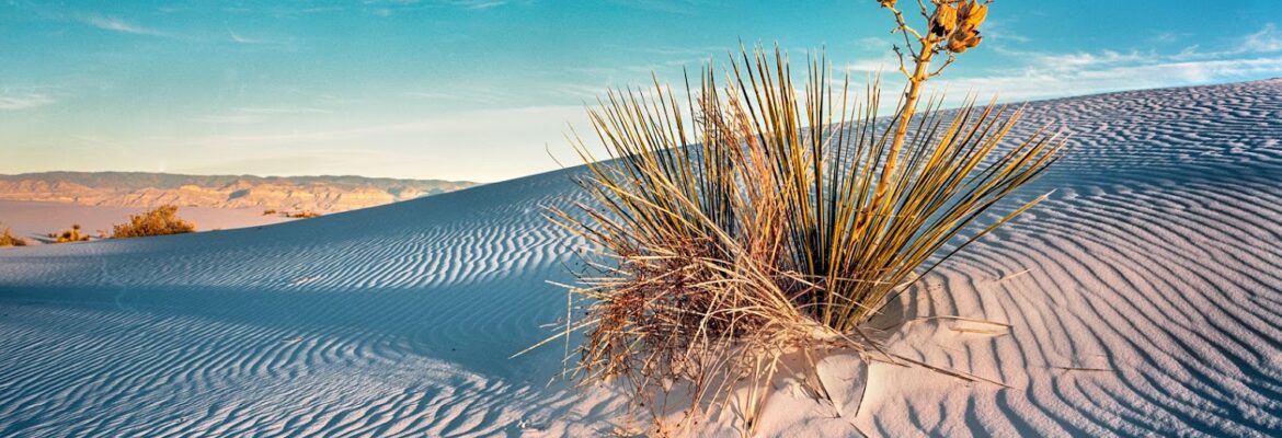 Mark Schumann Photography