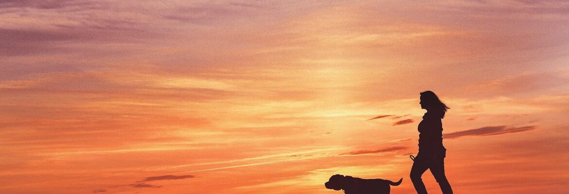 Angie Moon Photographer