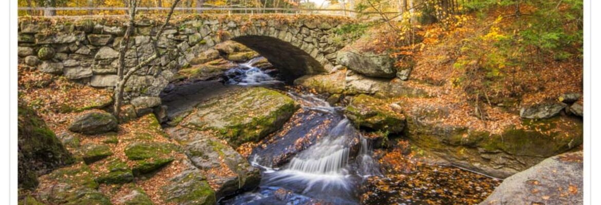 Captured Moments Photography By Rhonda