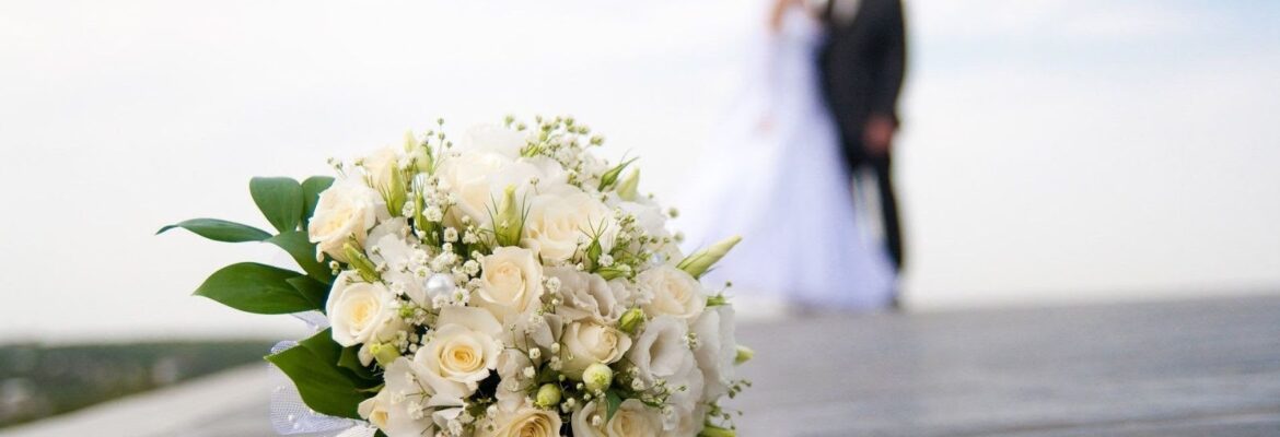 Golden 5 video/ Photography