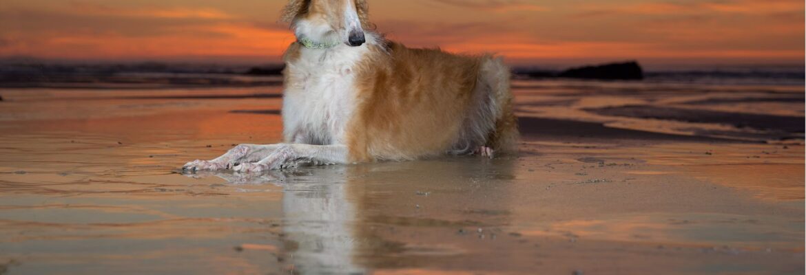 Terri Jacobson Photography