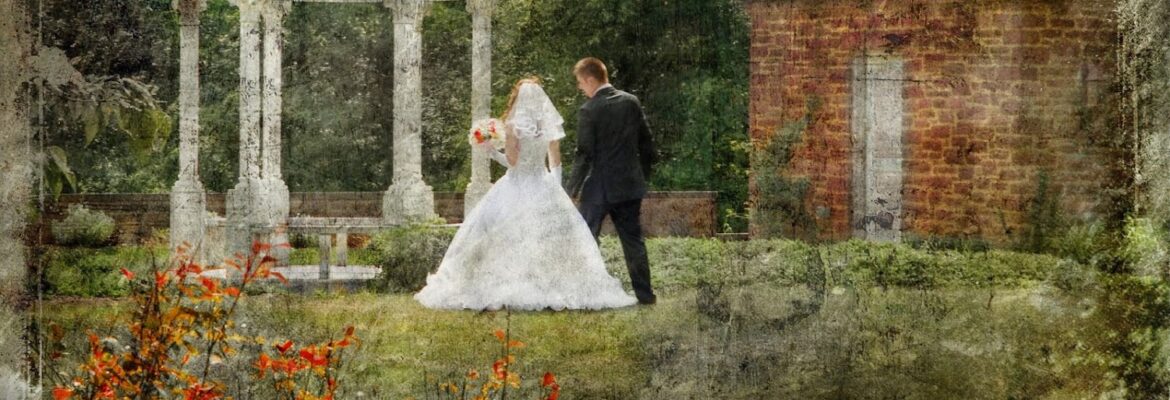 Creative Photography By Maya