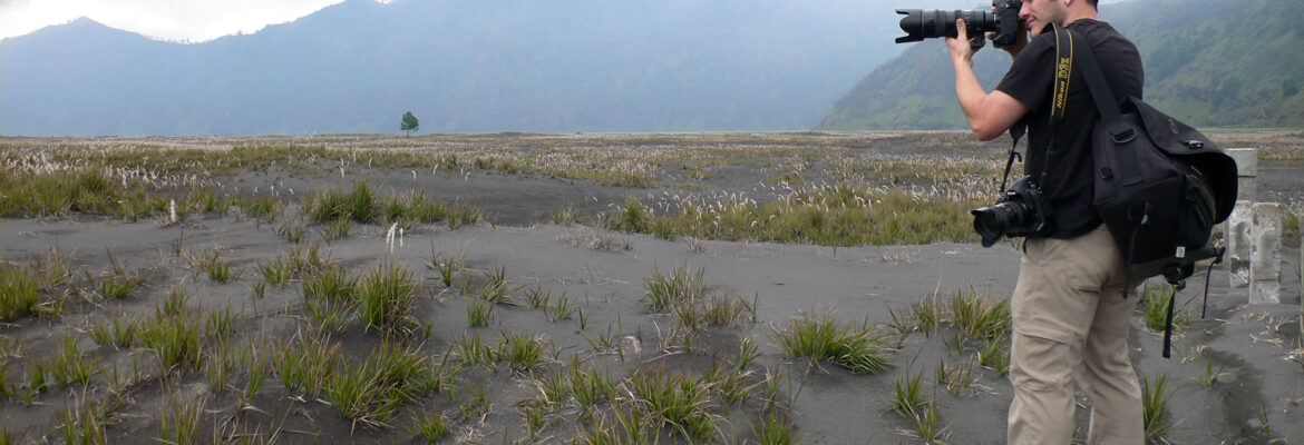 David Seaver Photography