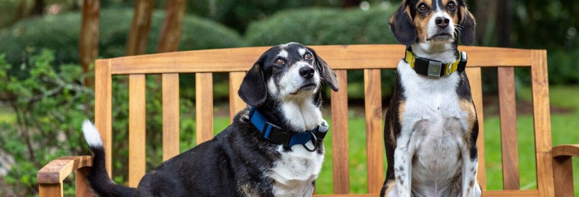 Angela Hopper Photography