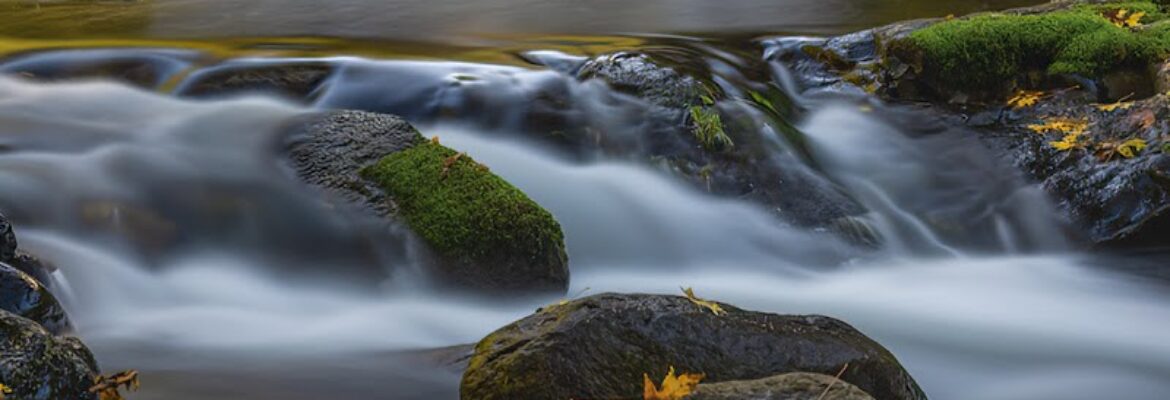 Explore Oregon Coast