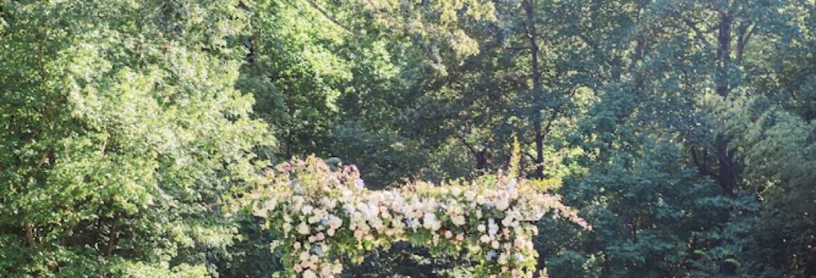 Amanda Nicole Photography LLC