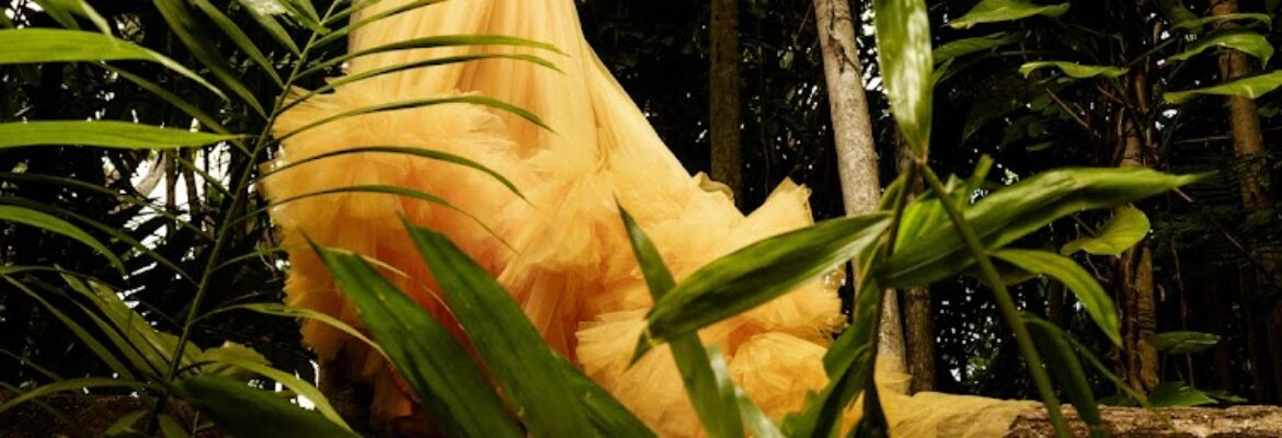 Shannon Bright Editorial & Fashion Photography