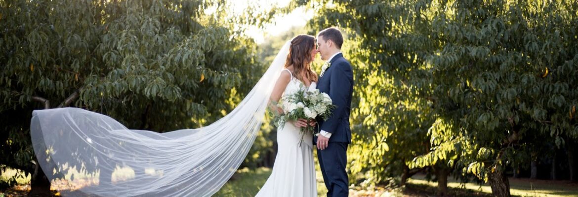 Petal & Glass Photography