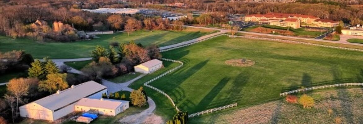 Angel’s View Drone Services