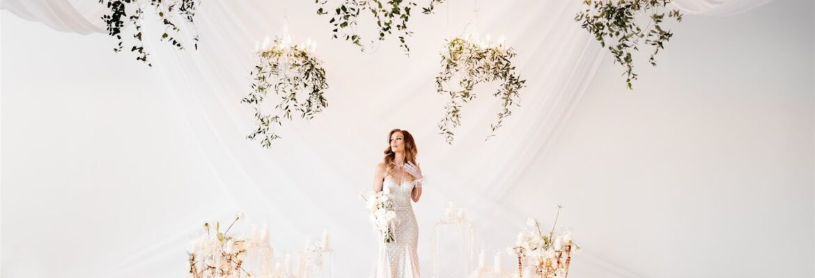 Vanessa Musilek Photography