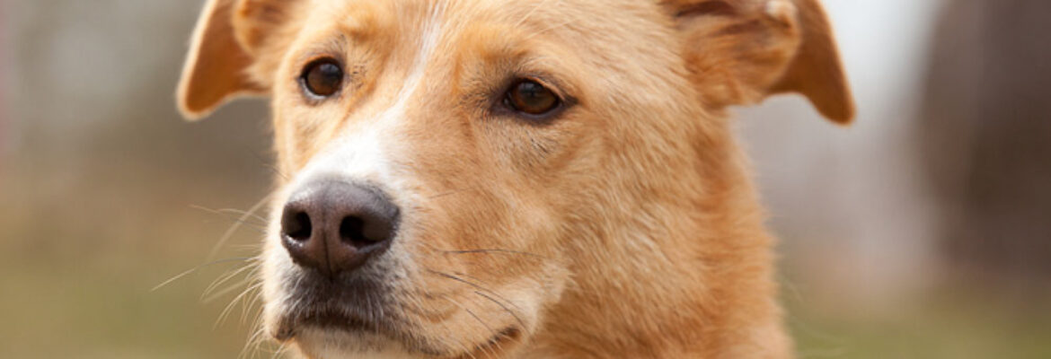 Bonnie Baker Photography