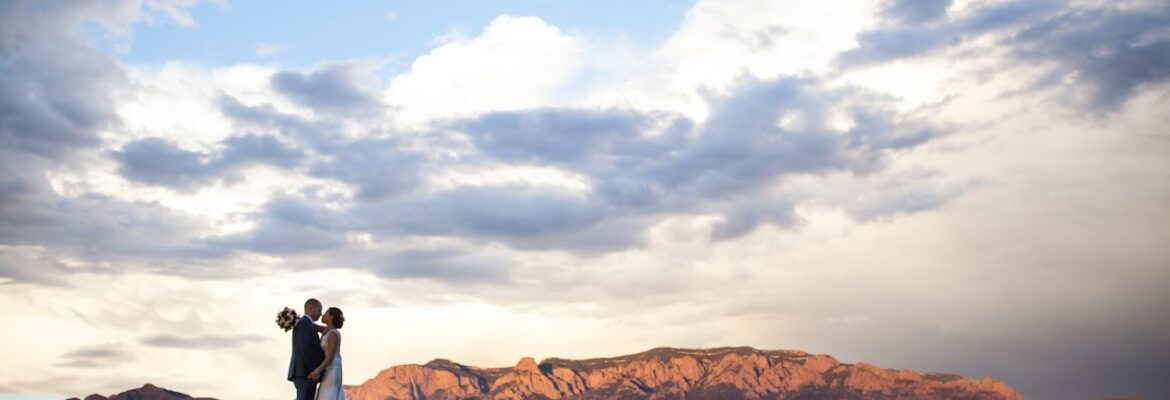 Sweet William Photo & Films