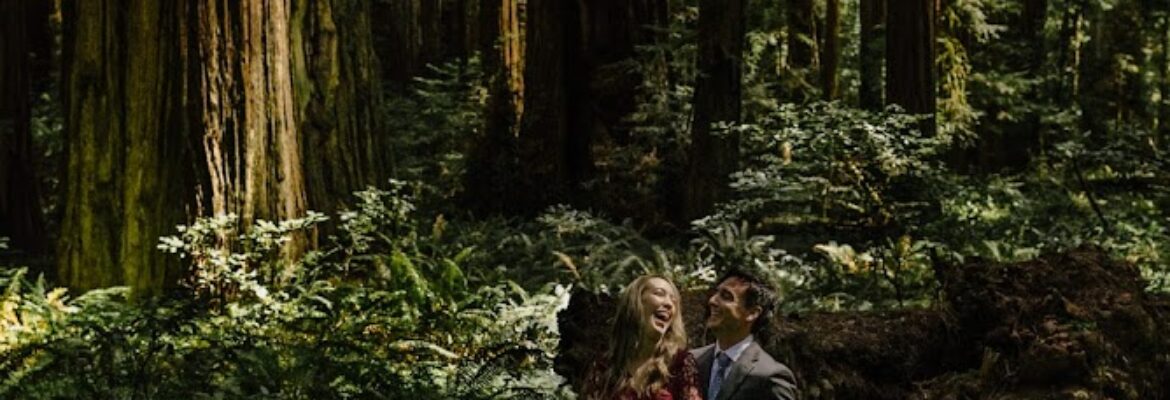 Kate Donaldson Photography