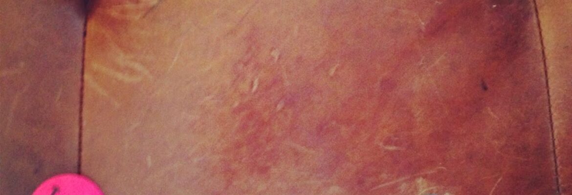 Derek Cookson Photography