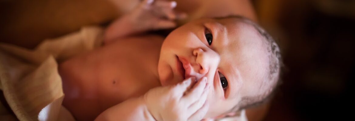 Lori Martinez Photography