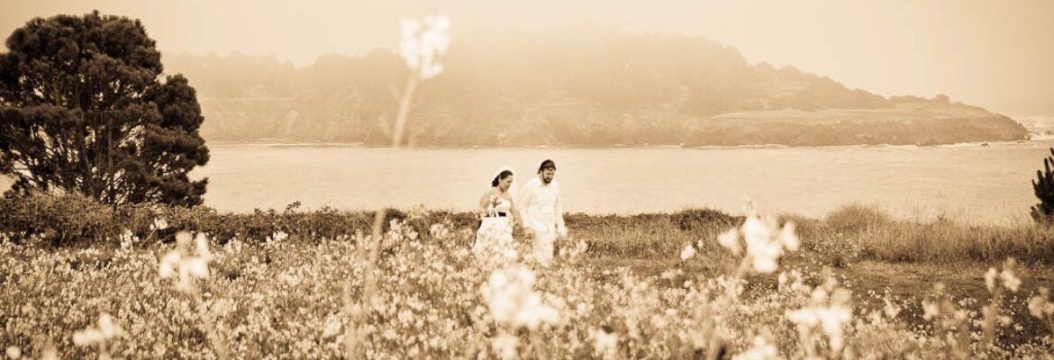 Mendocino Photo and Video