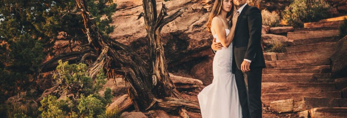 Amanda Summerlin Photography