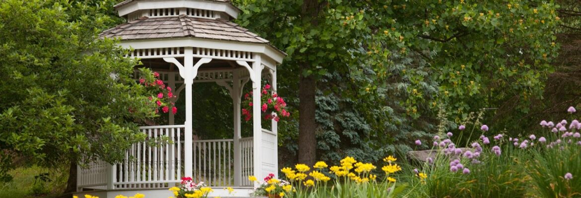 Traci McCabe Photography