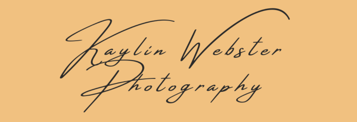 Kaylin Webster Photography