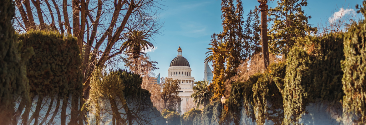 Efi Goneou Photography